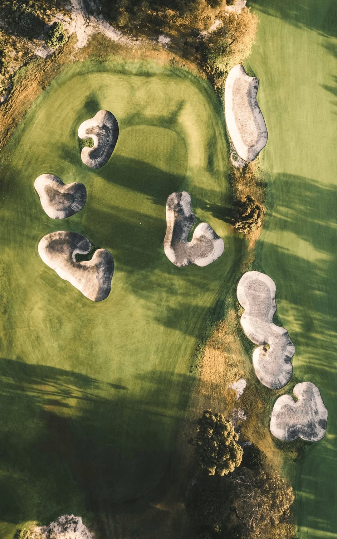 Golfers enjoying a competitive group golf trip with flexible tournament formats